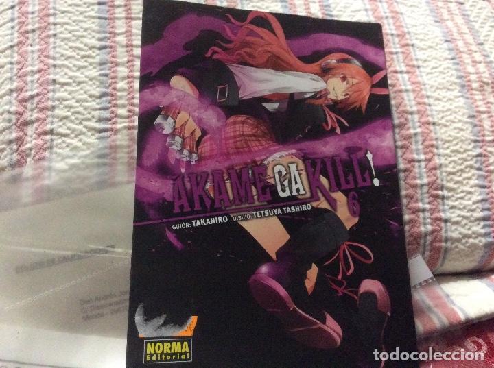 C&oacute;mics: Akame ga kill 6 - Foto 1