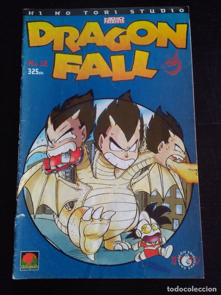 C&oacute;mics: DRAGON FALL 12 - Foto 1