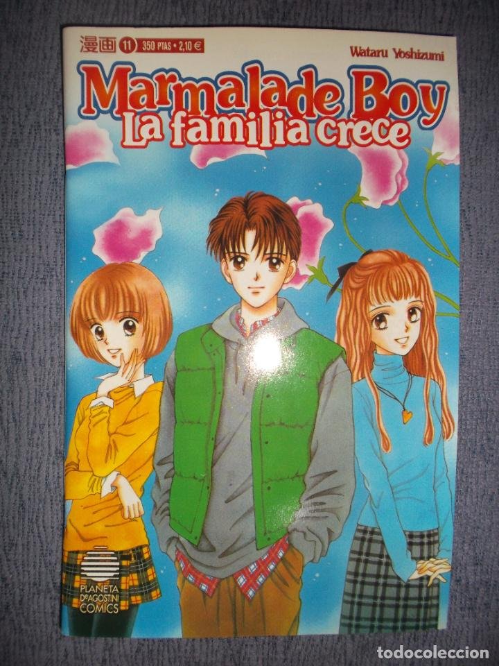 marmalade boy - la familia crece nº 11 (de 23), - Compra venta en  todocoleccion