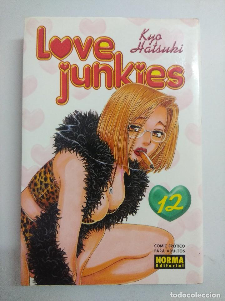 C&oacute;mics: LOVE JUNKIES N&ordm;12 COMIC MANGA NORMA.