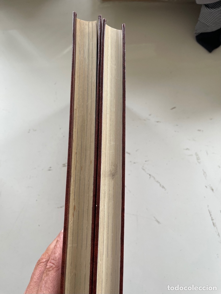 C&oacute;mics: Akira Aragon Glenat 1990 - Foto 11