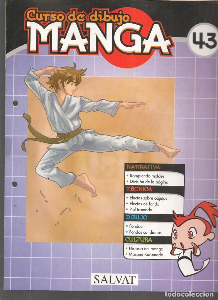 Comics : CURSO DE DIBUJO MANGA. FASC&Iacute;CULO. N&ordm; 43. SALVAT, 2003.(B/42)