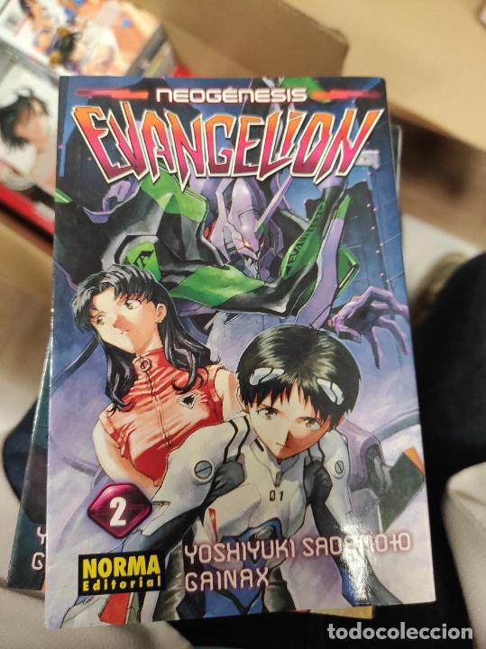 Neogenesis Evangelion Nº 2 Ed Norma 03 Comprar Comics Manga En Todocoleccion