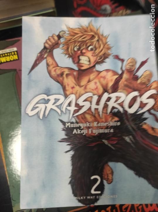 C&oacute;mics: GRASHROS VOL. 02 - KANESHIRO, MUNEYUKI - Foto 1