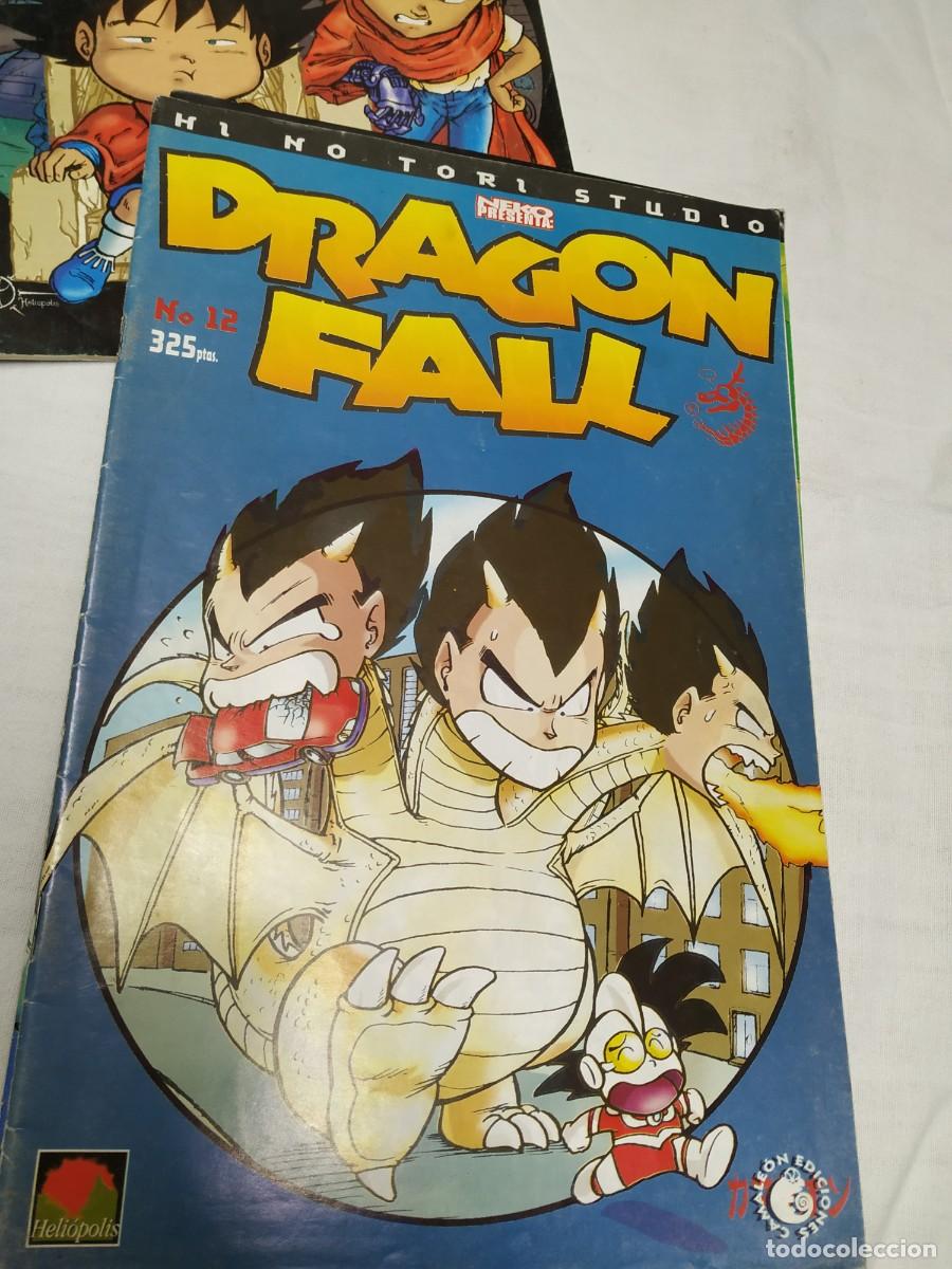 C&oacute;mics: Dragon fall - Foto 3