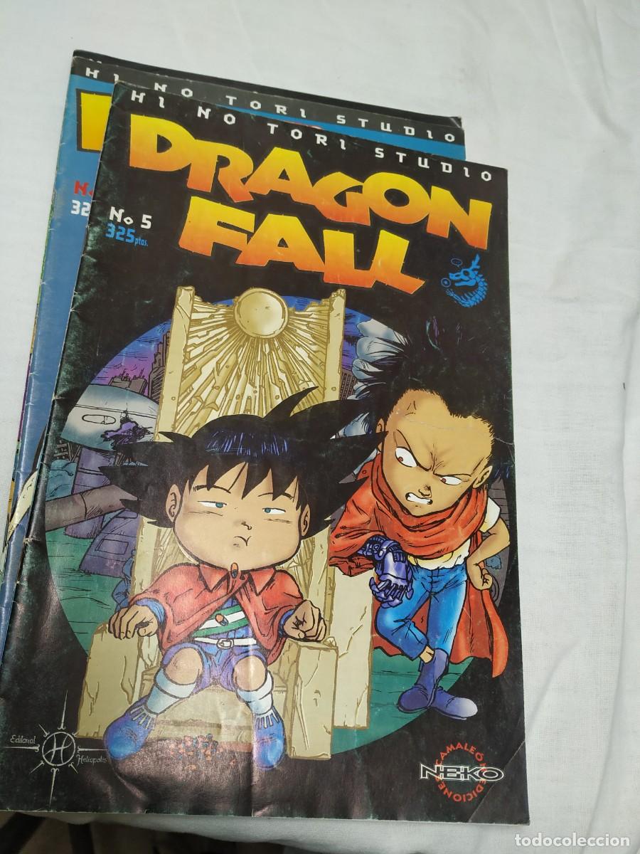 C&oacute;mics: Dragon fall - Foto 4