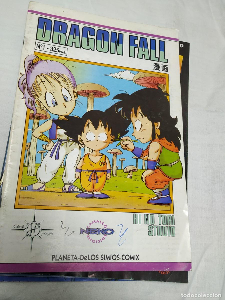 C&oacute;mics: Dragon fall - Foto 5