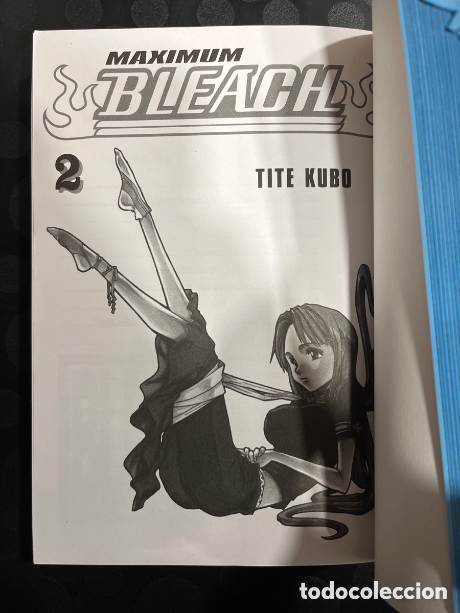 C&oacute;mics: BLEACH MAXIMUM N.02 / 2 de TITE KUBO Ed PANINI ( 2018/&hellip; ) - Foto 3