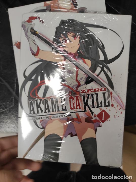 Akame GA Kill Zero