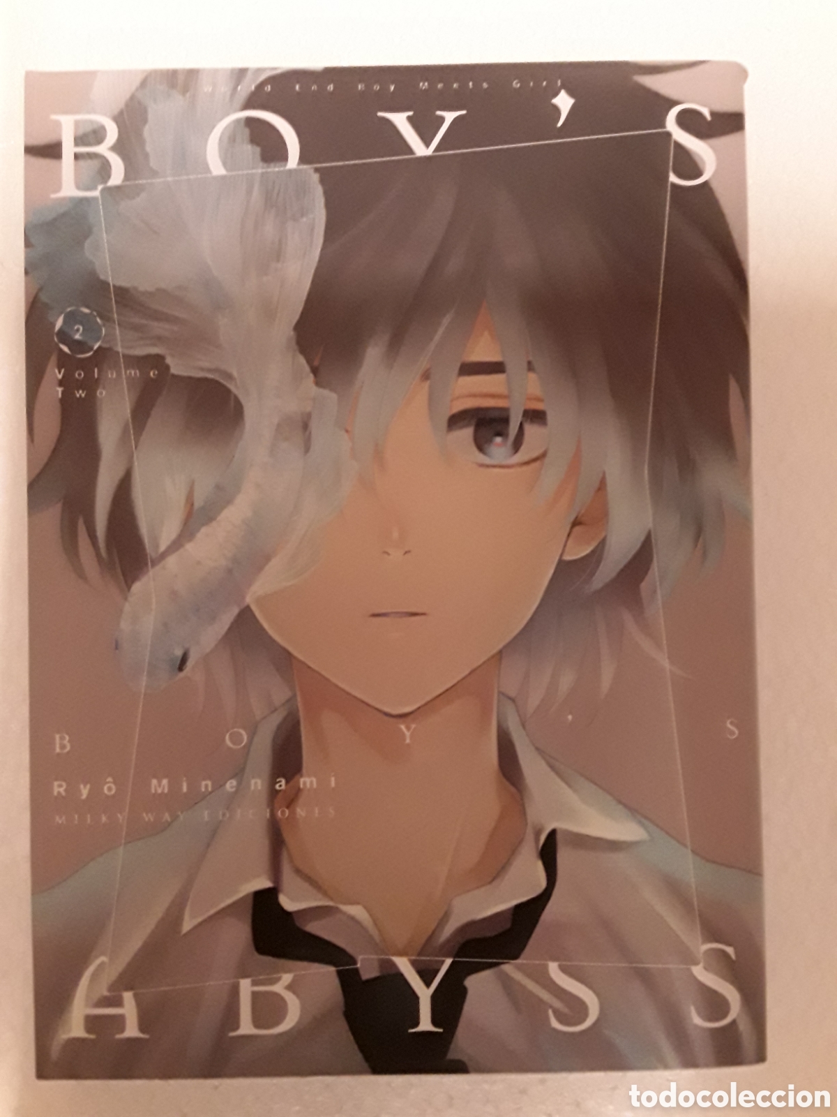 Comics: Boy's abyss 2 - Ry&ocirc; Minenami - Milky Way ediciones / Manga
