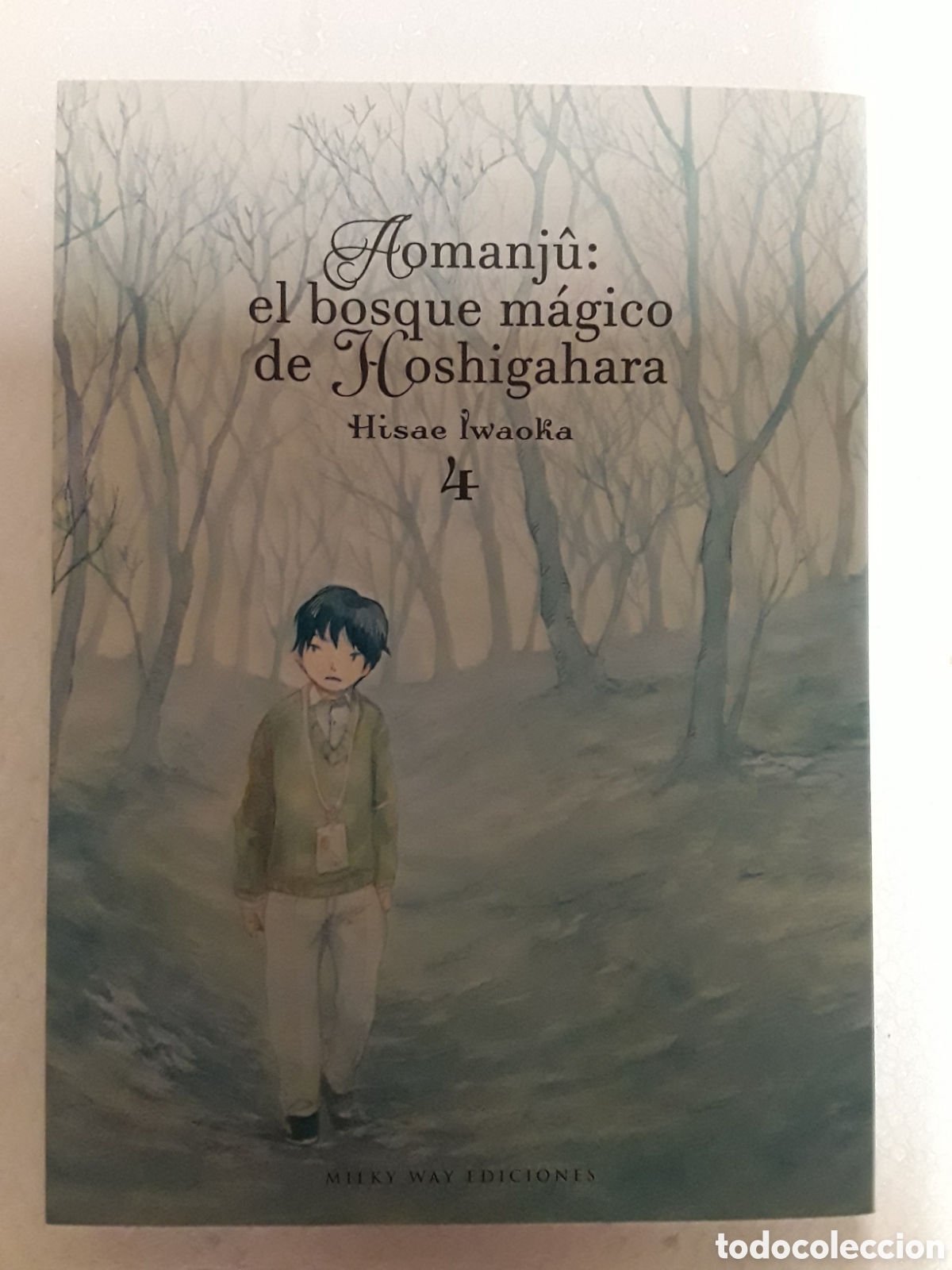 Comics: Aomanj&ucirc; el bosque m&aacute;gico de Hoshigahara 4 - Hisae Iwaoka - Milky Way ediciones / Manga