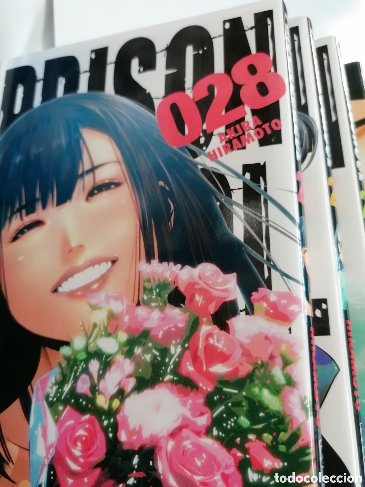 Comics: 19 libros de &Aacute;kira Hiramota n del10 al 28