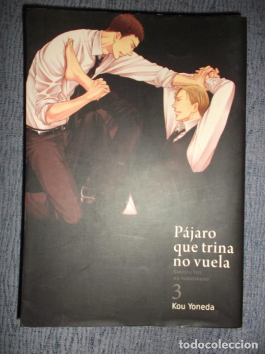 C&oacute;mics: Pajaro Que Trina No Vuela N&ordm; 3 (De 8), Kou Yoneda