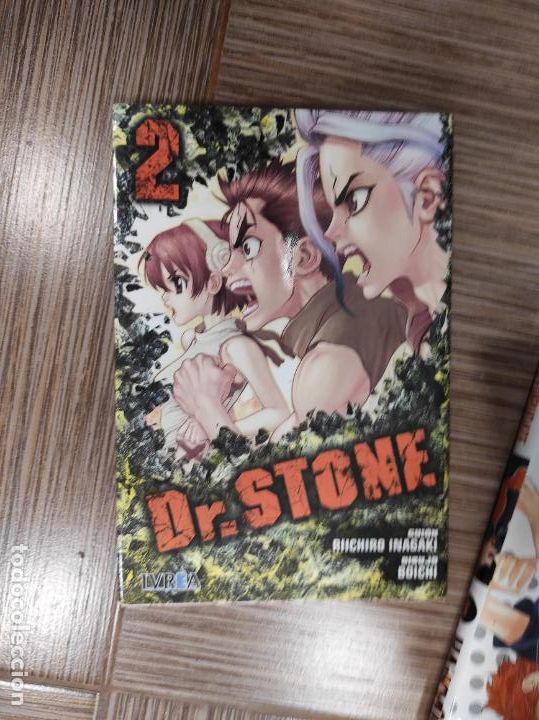 C&oacute;mics: DR STONE 2 - INAGAKI,RIICHIRO/BOICHI - Foto 1