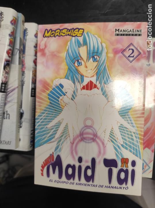 Comics: Maid Tai n&ordm; 2 - Morishige
