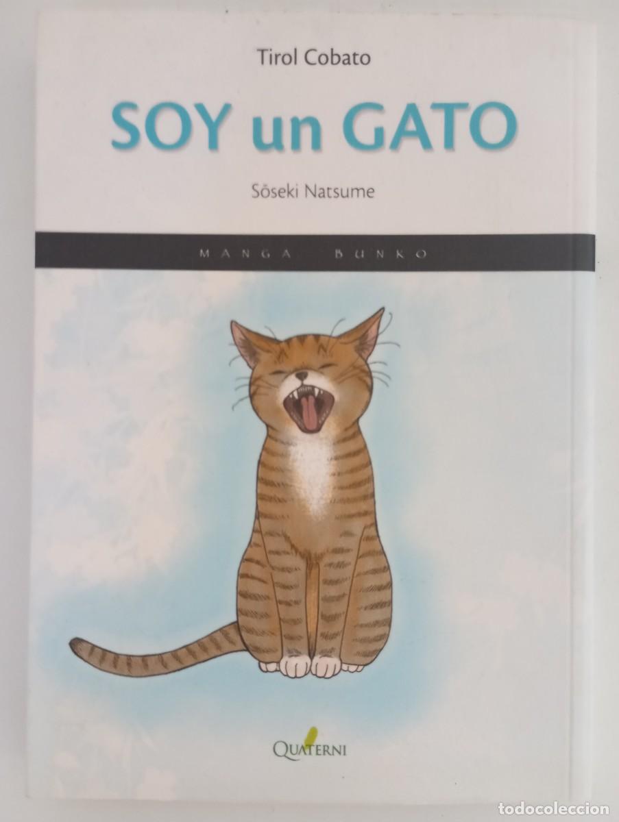 C&oacute;mics: Soy un gato