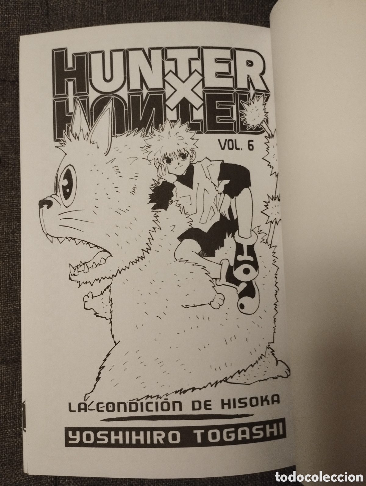 C&oacute;mics: HUNTER X HUNTER VOL. 6 (YOSHIHIRO TOGASHI) - Foto 2