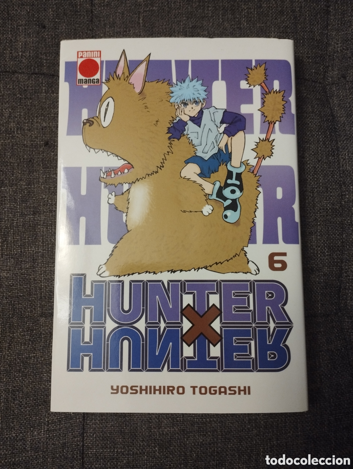 C&oacute;mics: HUNTER X HUNTER VOL. 6 (YOSHIHIRO TOGASHI) - Foto 1