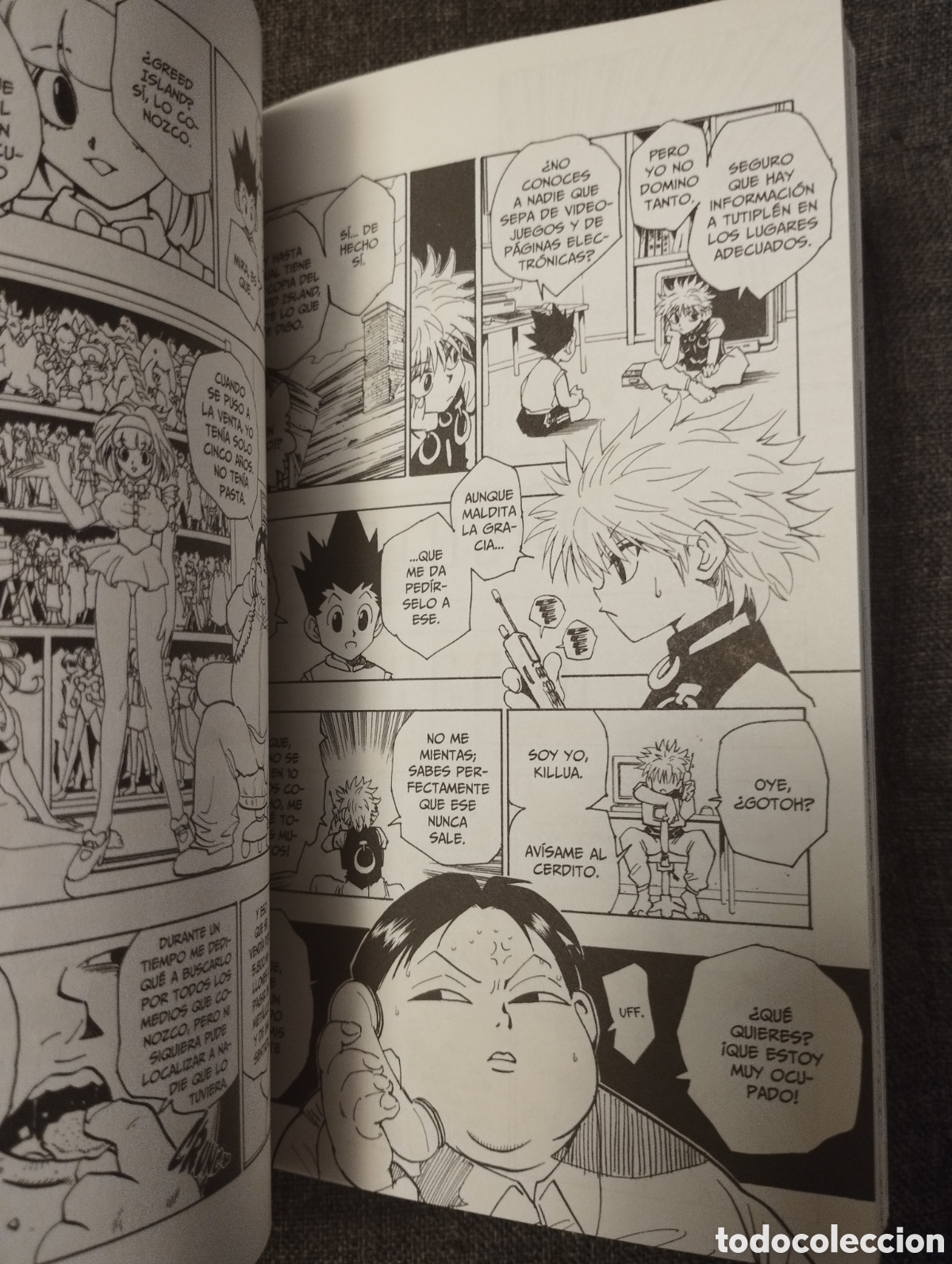 C&oacute;mics: HUNTER X HUNTER VOL. 8 (YOSHIHIRO TOGASHI) - Foto 6
