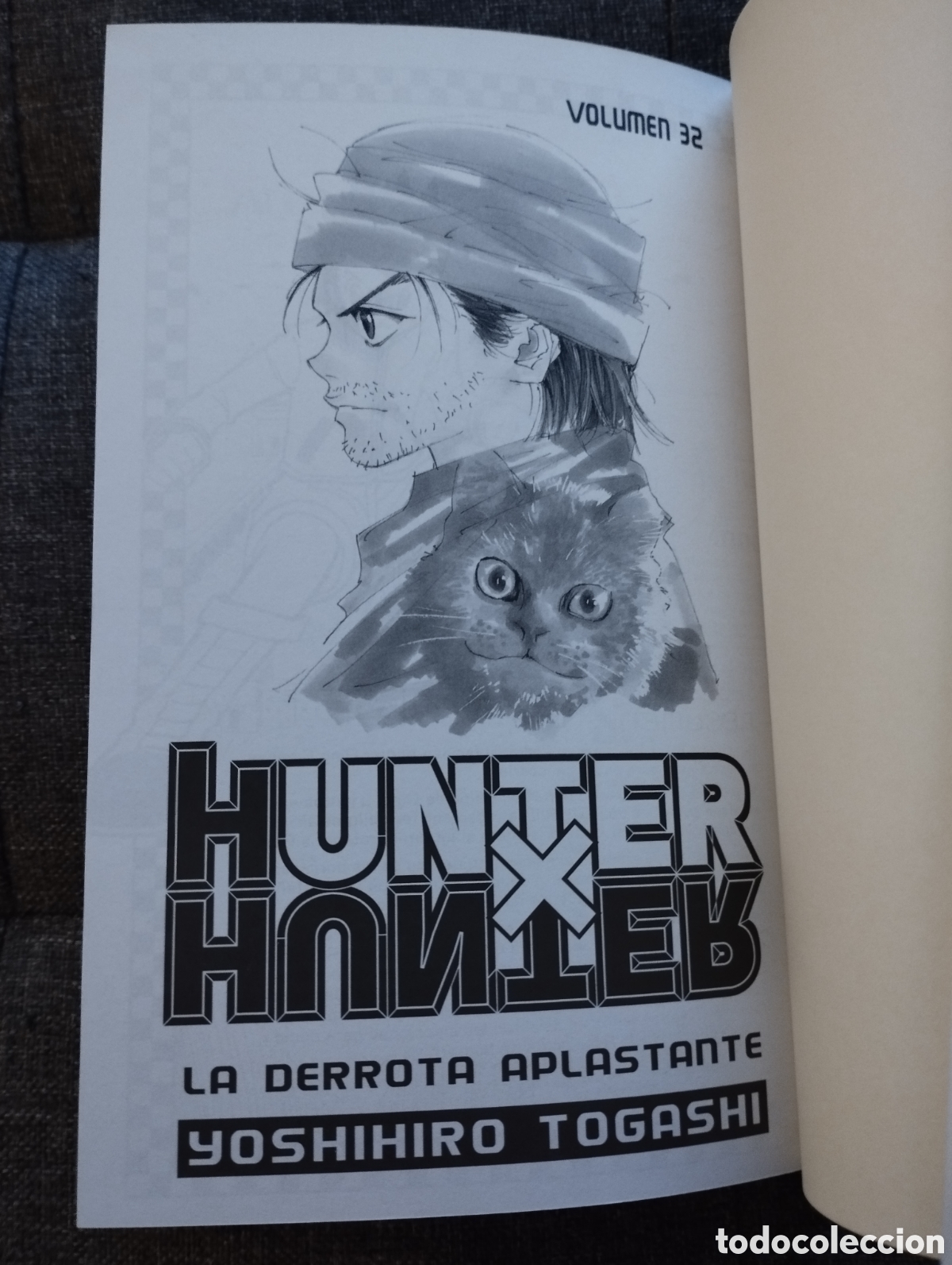 Hunter x Hunter, Vol. 32 (Hunter x Hunter, #32) by Yoshihiro Togashi
