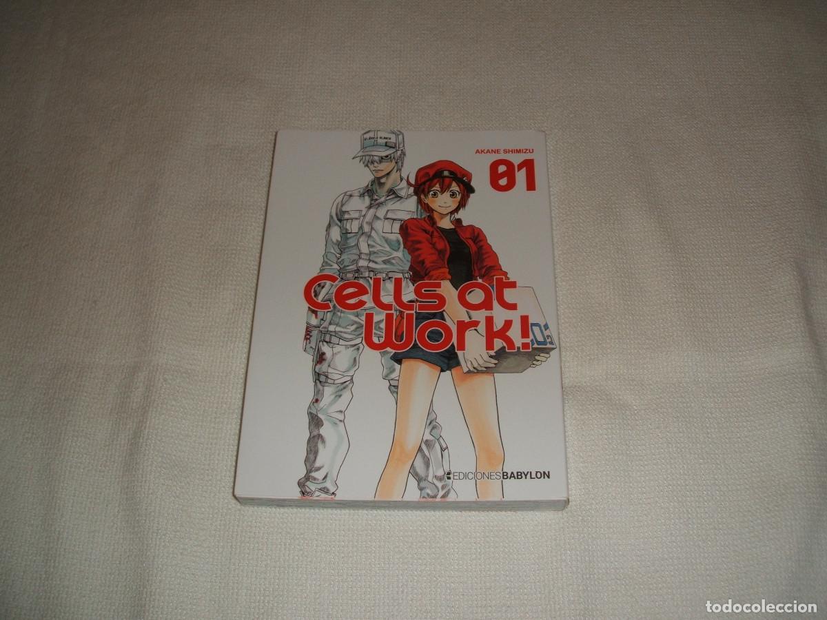 C&oacute;mics: C&oacute;mic manga Cells at work! tomo 1 - Foto 1