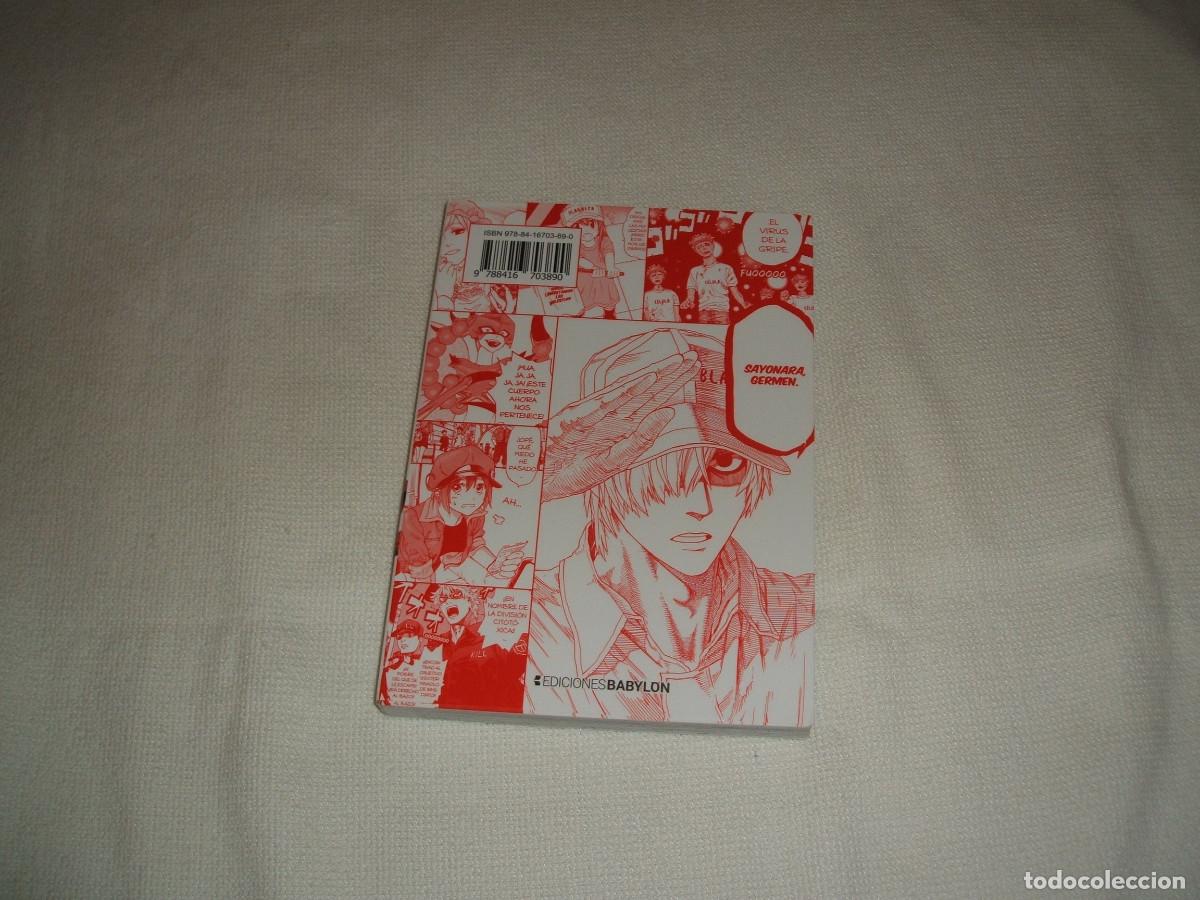 C&oacute;mics: C&oacute;mic manga Cells at work! tomo 1 - Foto 2