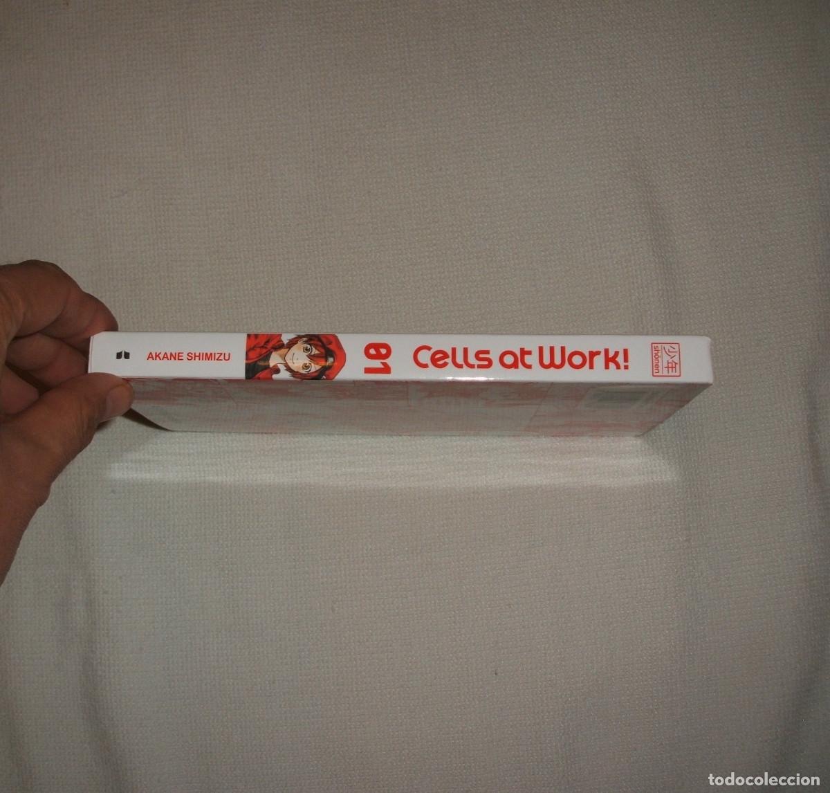C&oacute;mics: C&oacute;mic manga Cells at work! tomo 1 - Foto 3