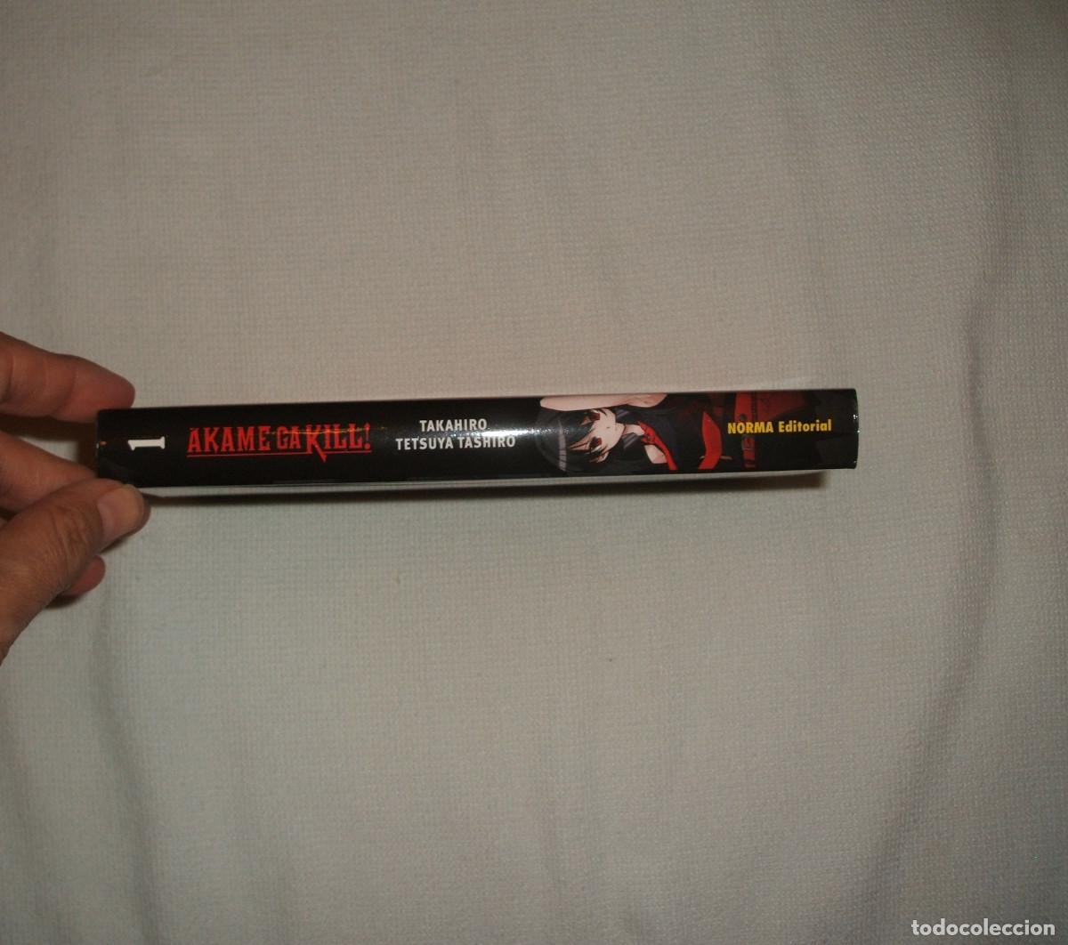 C&oacute;mics: C&oacute;mic manga Akame ga kill! tomo 1 - Foto 3