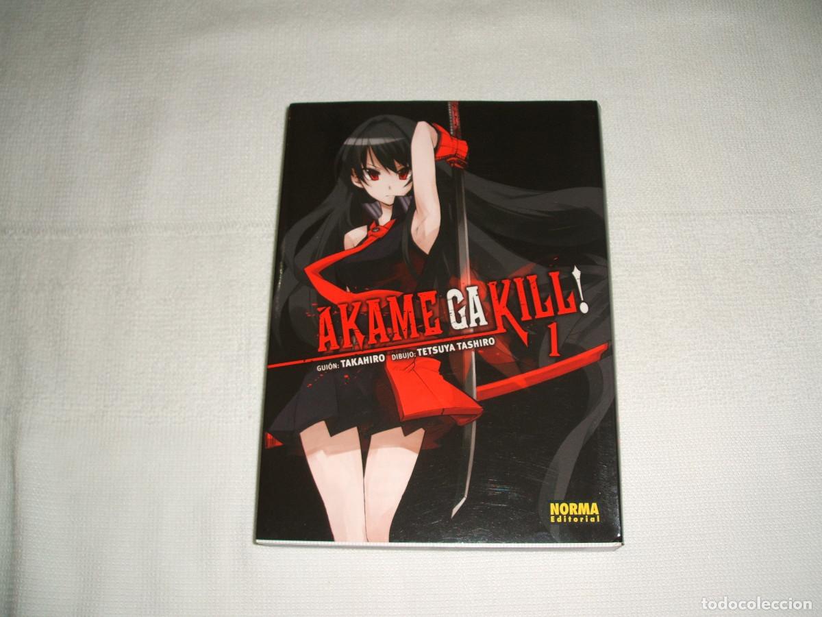 C&oacute;mics: C&oacute;mic manga Akame ga kill! tomo 1 - Foto 1