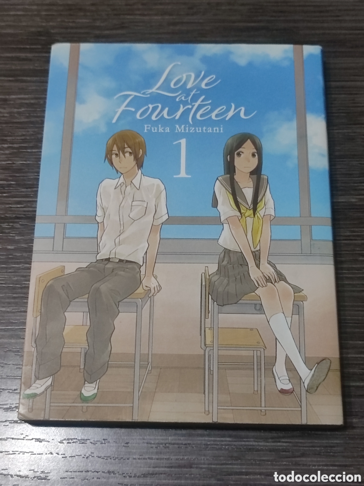 Comics: Love at fourteen 1 Fula Mizutani Manga