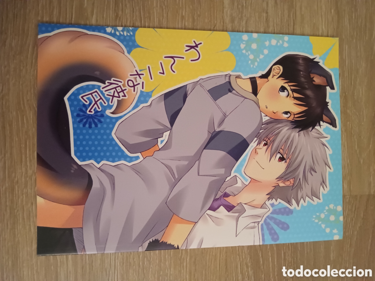 C&oacute;mics: Doujinshi Evangelion - Foto 1