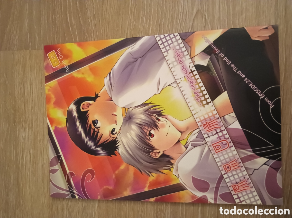 C&oacute;mics: Doujinshi Evangelion - Foto 1