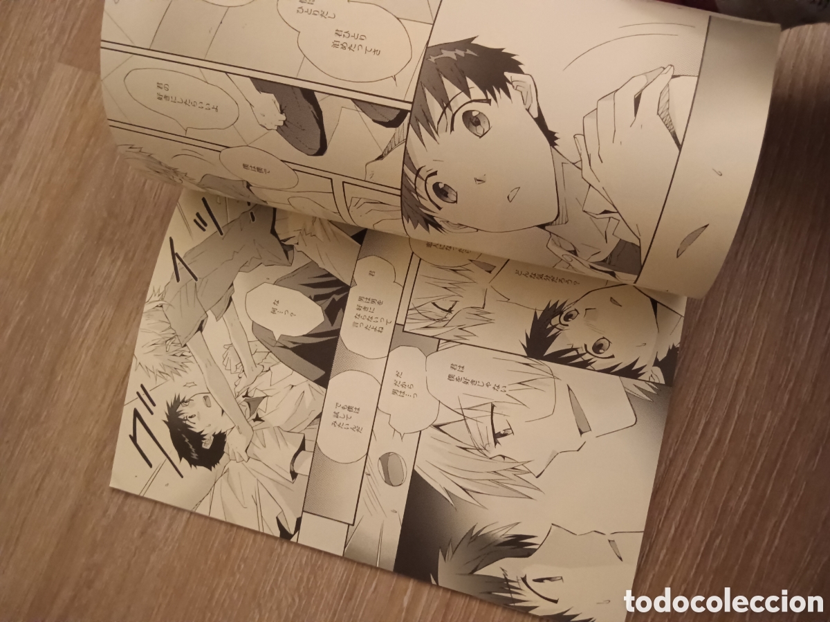 C&oacute;mics: Doujinshi Evangelion - Foto 2