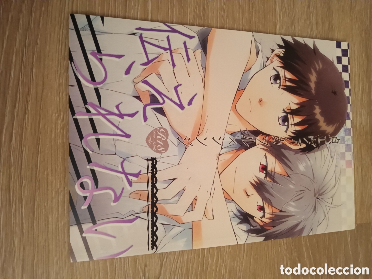 C&oacute;mics: Doujinshi Evangelion - Foto 1