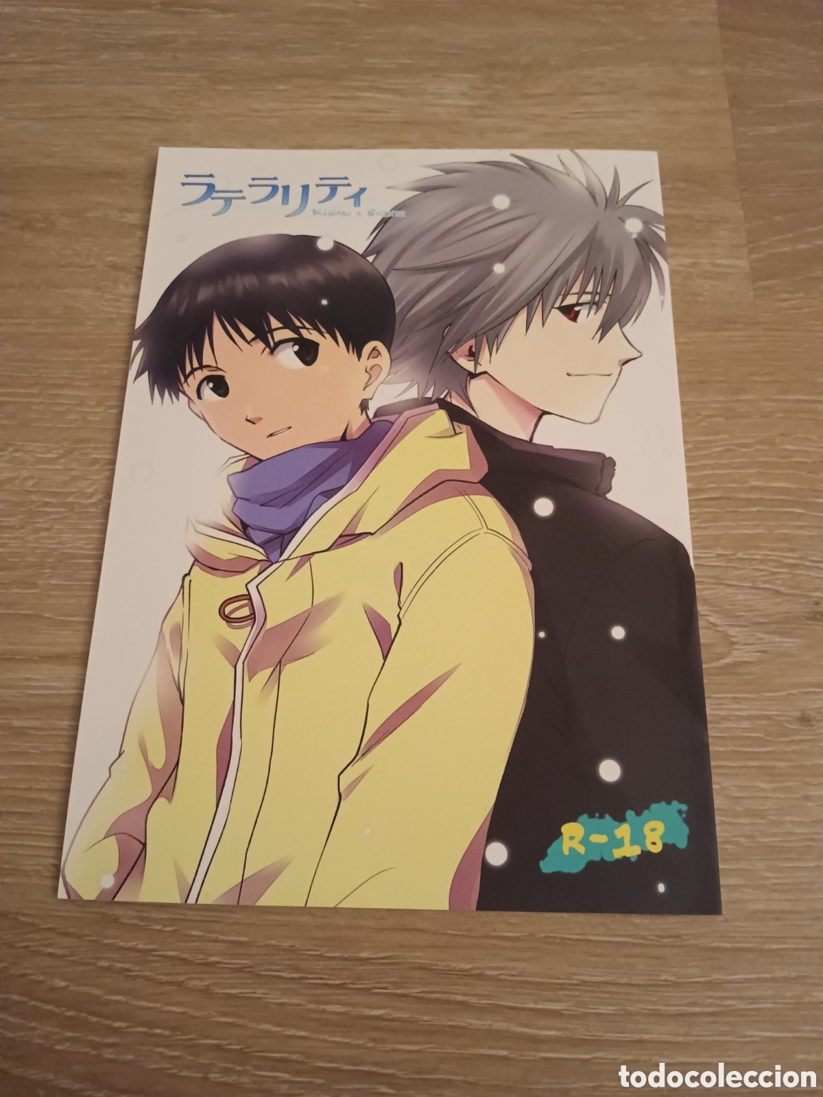 C&oacute;mics: Doujinshi Evangelion - Foto 1