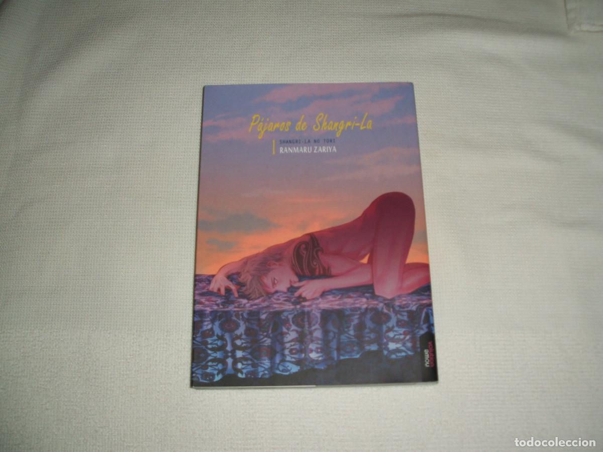 C&oacute;mics: C&oacute;mic manga P&aacute;jaros de Shangri-La tomo 1 -editorial Nowevolution - Foto 1