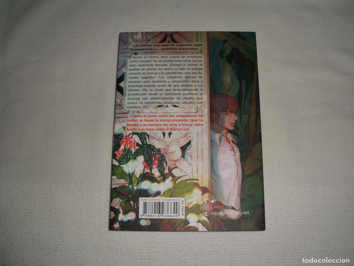 C&oacute;mics: C&oacute;mic manga P&aacute;jaros de Shangri-La tomo 1 -editorial Nowevolution - Foto 2
