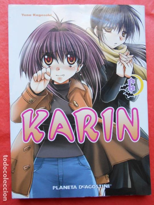 C&oacute;mics: Manga Karin - Foto 1