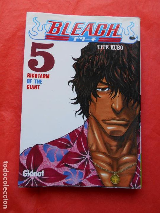 C&oacute;mics: Bleach 5 - Foto 1