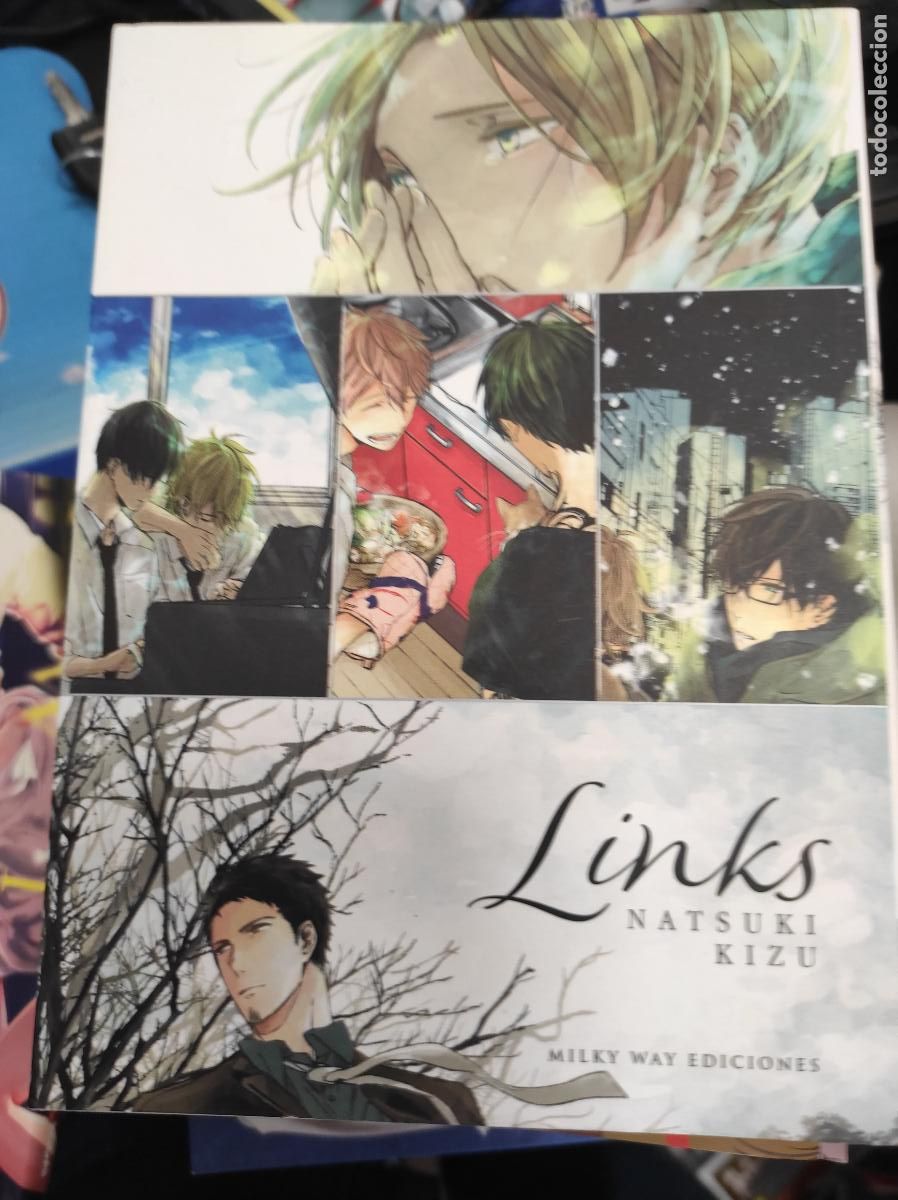 C&oacute;mics: LINKS (TOMO &Uacute;NICO) - NATSUKI KIZU - Foto 1