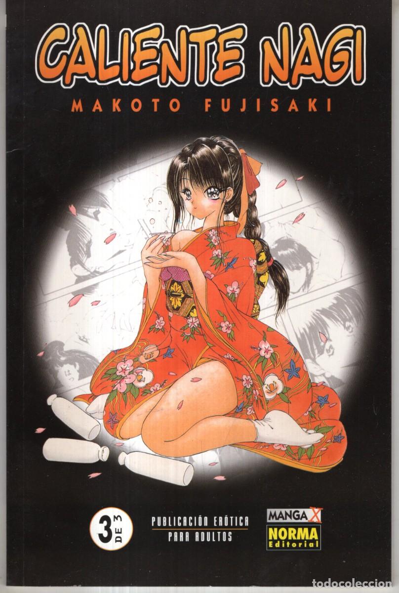 Comics: CALIENTE NAGI N&ordm; 3 (MAKOTO FUJISAKI) - NORMA - ESTADO EXCELENTE