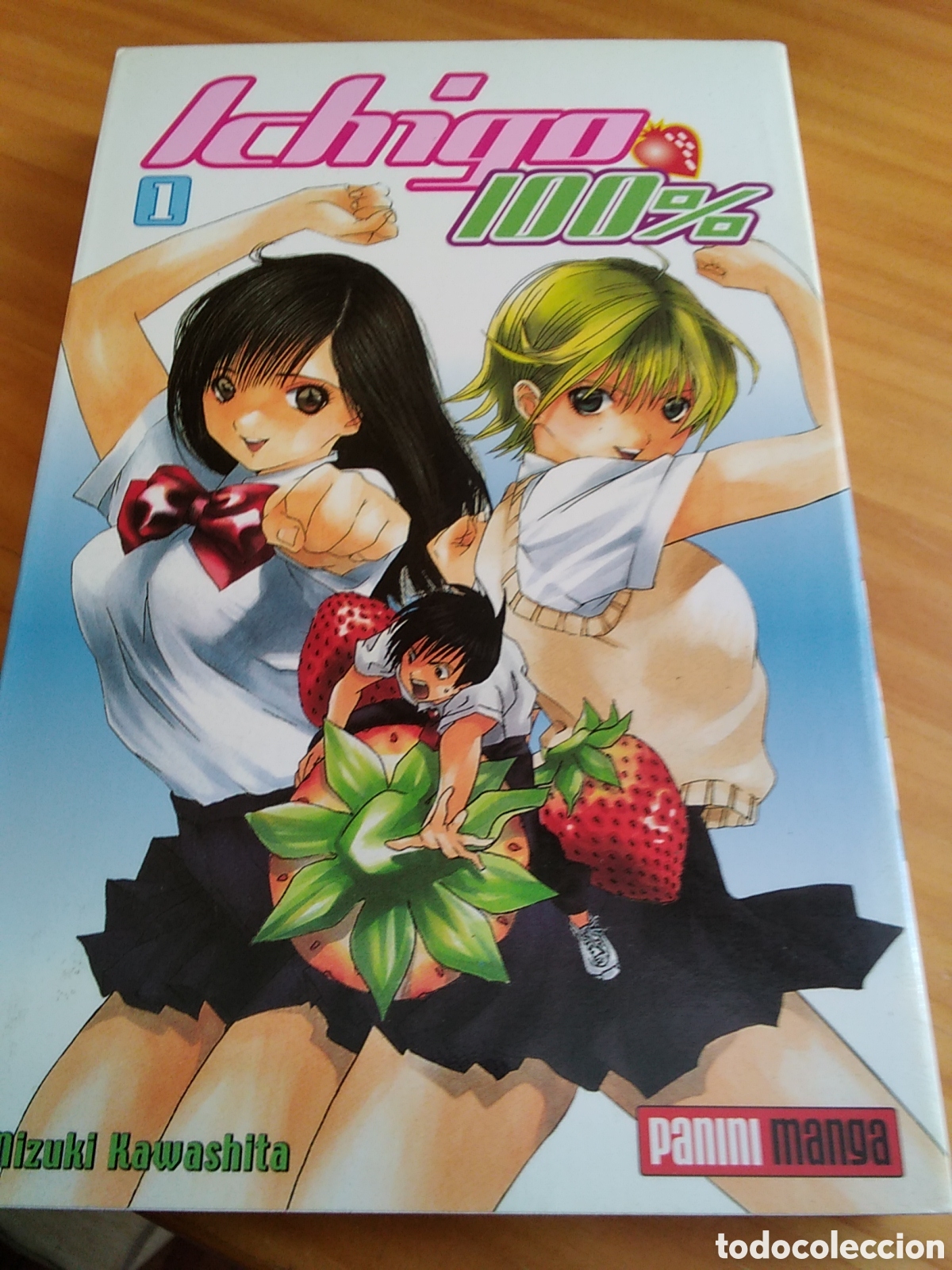 Comics: Ichigo 100% c&oacute;mic manga de Mizuki Hawashita n&uacute;mero 1 a&ntilde;o 2005 febrero edita Panini