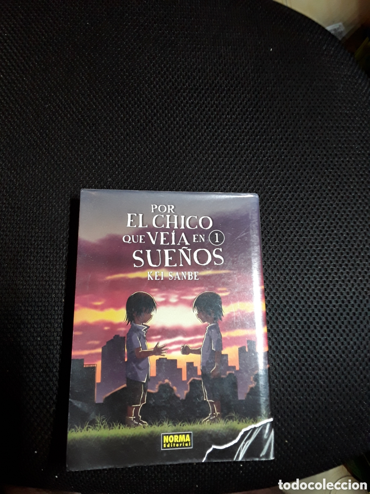 Fumetti: Por el chico que ve&iacute;a en sue&ntilde;os 1 (ED. Especial) Kei Sanabe