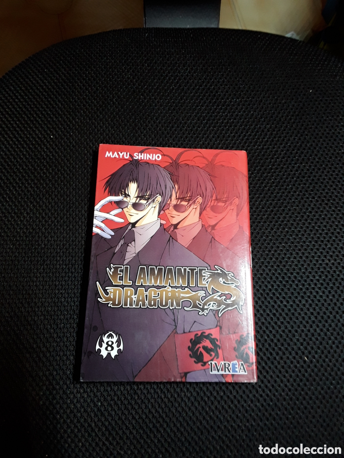 Fumetti: El amante drag&oacute;n N&deg;8