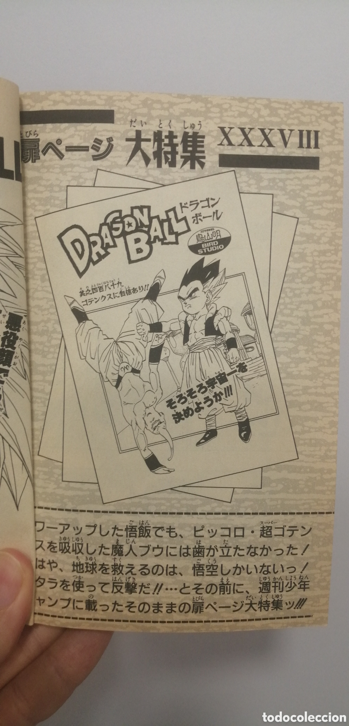 C&oacute;mics: Dragon Ball Jump Comics Edici&oacute;n japonesa 1995 - Foto 6