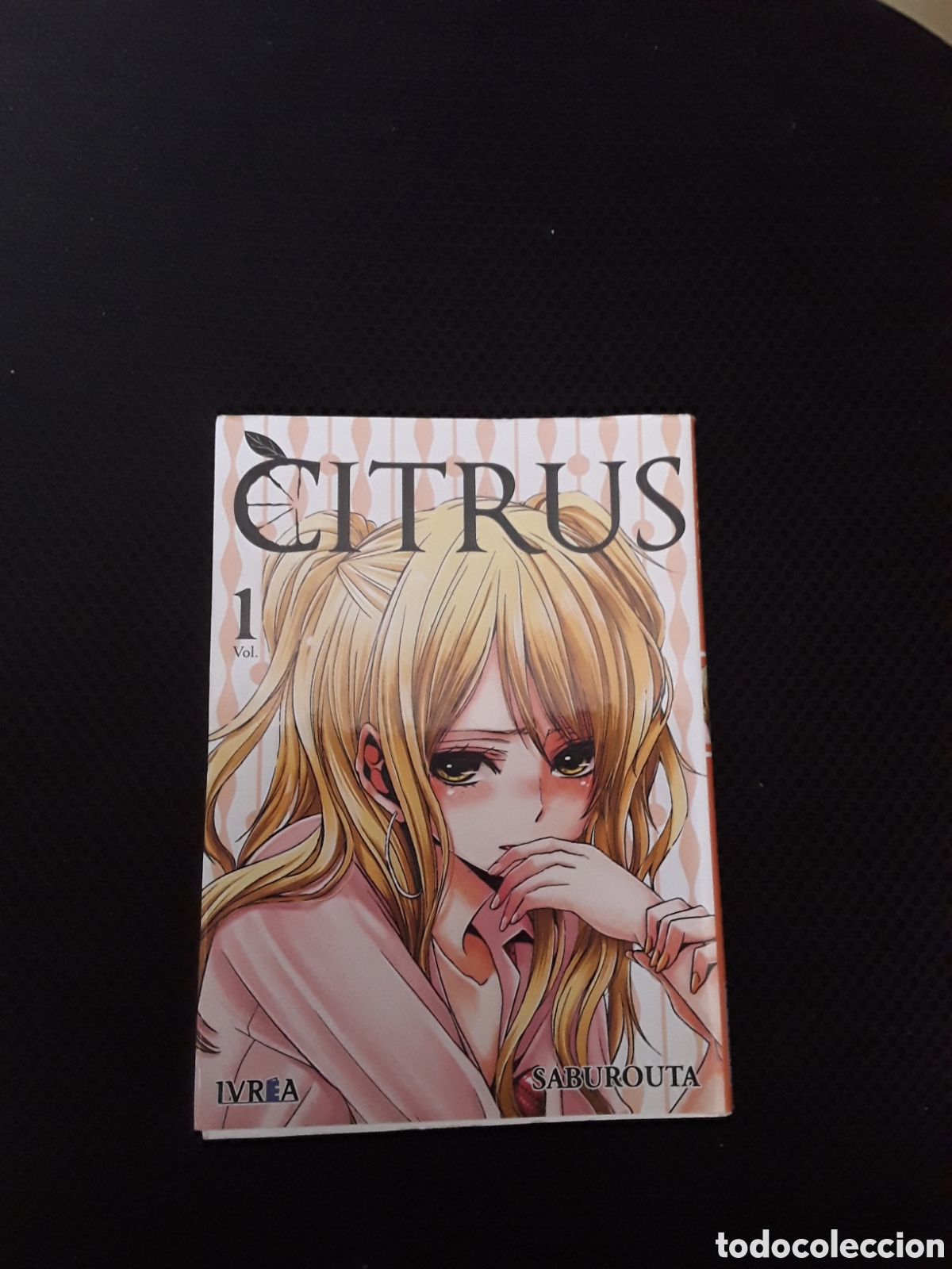 C&oacute;mics: Citrus vol., Saburota - Foto 1