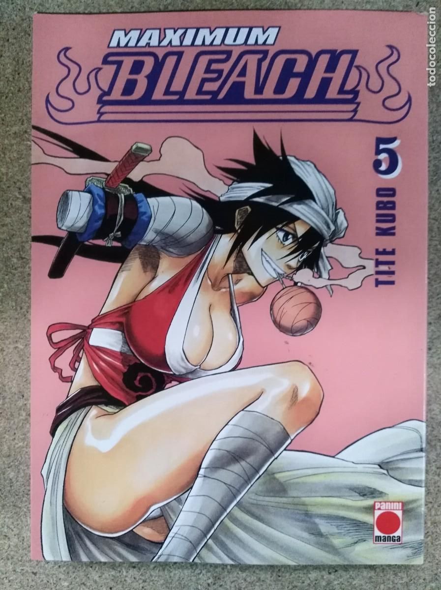 C&oacute;mics: Maximum Bleach 5.Panini Manga - Foto 1