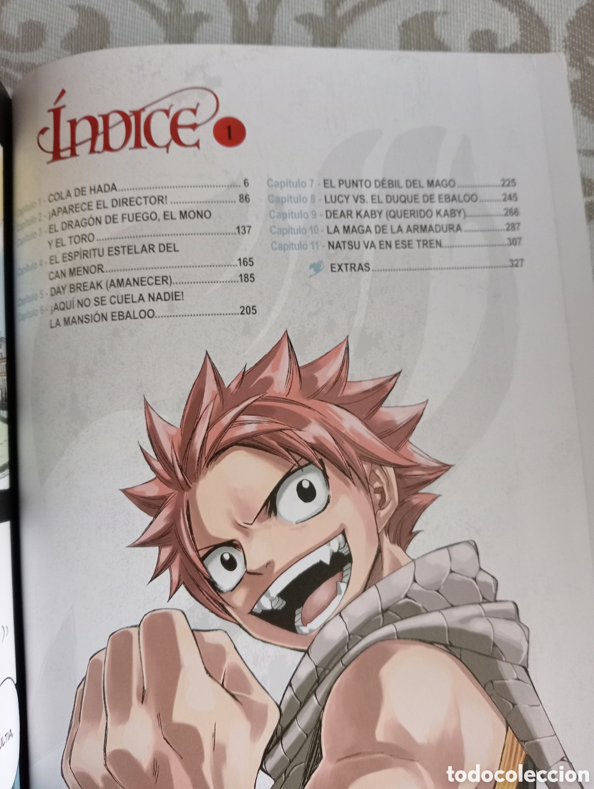 C&oacute;mics: FAIRY TAIL.HIRO MASHIMA.EDICCION INTEGRAL - Foto 5