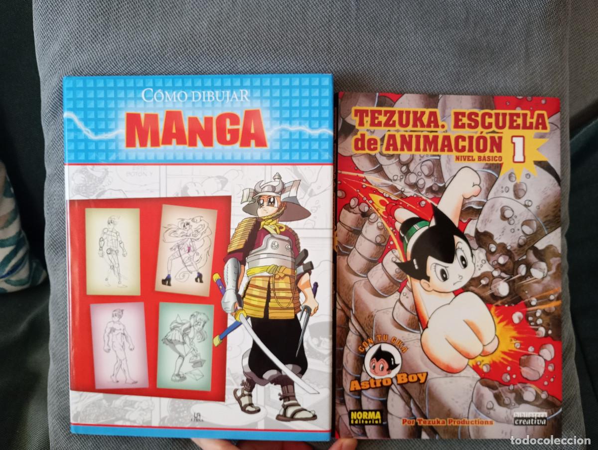 Lote 2 libros: 'Tezuka escuela de animación' (Norma) y 'Cómo dibujar manga' (Libsa)