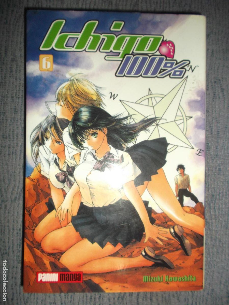 C&oacute;mics: Ichigo 100% N&ordm; 6 (De 19), Mizuki Kawashita